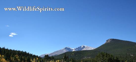 Click Picture to send as an  E-PostCard 60k 550x250